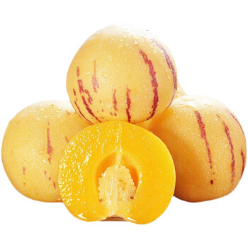 攸竹 云南人参果新鲜大果人叁果水果七彩黄肉圆果人生果 【精选品质果