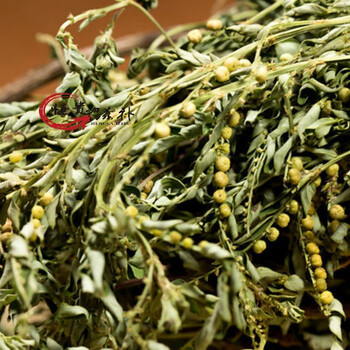 淳滋堂野生日晒叶下珠珍珠草夜合草珠仔草阴阳草天然草药茶 叶下珠500