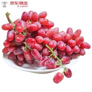 现摘无籽红提 玫瑰香提子当季新鲜孕妇水果应季高端 3斤精选装