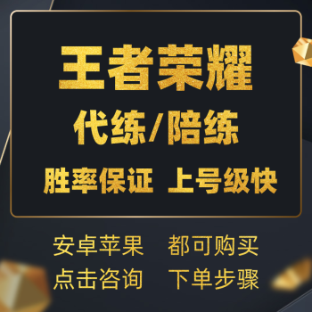 王者代练陪练代打排位上分上星王者荣耀代打战令等级赛英雄战力周经验