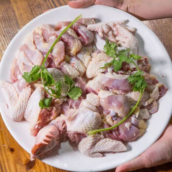 红毛黑脚整只土鸡下架炖汤切块未打鸣半大冠小公鸡老母鸡月子鸡肉