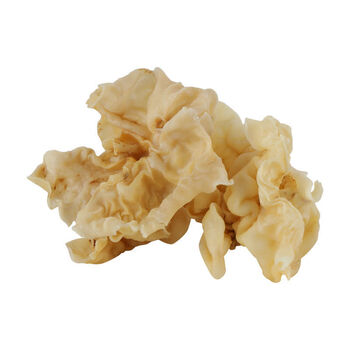 兔耳菌 250g 多规格 林之源伏牛山羊耳菌兔耳菌白木耳酒店特色菜干货