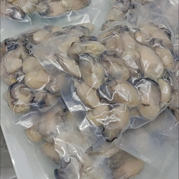 肉去壳新鲜海蛎子海鲜牡蛎肉乳山精品大蚝肉真空袋装500g多净重6斤装