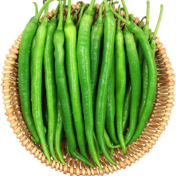 新鲜红线椒 青辣椒 特辣二荆条应季 青线椒5斤