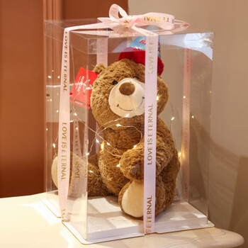 费雪正版生日帽礼物小熊玩偶泰迪熊毛绒玩具可爱熊公仔生日礼物送女友