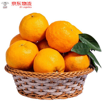 福建永春芦柑新鲜椪柑橘当季现摘橘子桔子精选5斤装