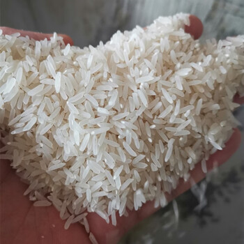 茗老汉广东韶关特产马坝美香粘无抛光农家油粘米原生态软糯长粒香米