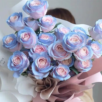 涞思芊*轻奢涞思芊碎冰蓝玫瑰鲜花云南直发混搭花束鲜切花水养插花