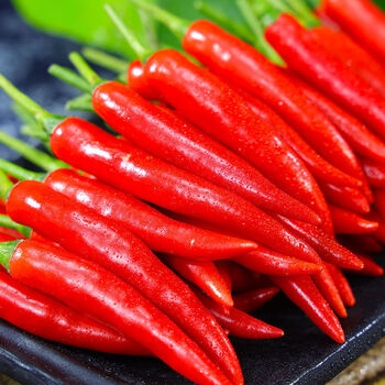 新鲜现摘小米椒小米辣鲜椒特辣红辣椒朝天椒指天椒泡椒3斤净重小米椒