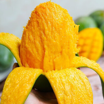 乡语小吖广西金煌芒 3斤中果4-7个 青皮大芒果 应季新鲜水果生鲜