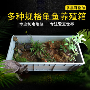 可疊加造景飼養箱烏龜箱大中小龜缸養魚箱加厚物流週轉箱60x40x33cm