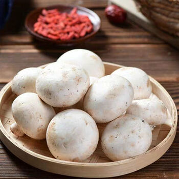 口蘑双孢菇新鲜白蘑菇营养蔬菜菌菇类现摘现发2斤精品口蘑