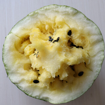 早告白现货 打瓜22年敖汉黄壤大打瓜黄壤打瓜籽瓜水果1个7.