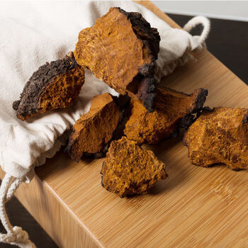 桦树茸 俄罗斯野生桦褐孔菌桦树泪西伯利亚白桦茸 桦树茸500克切块【