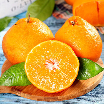 四川春见耙耙柑 粑粑柑 橘子  新鲜时令水果现摘  10斤