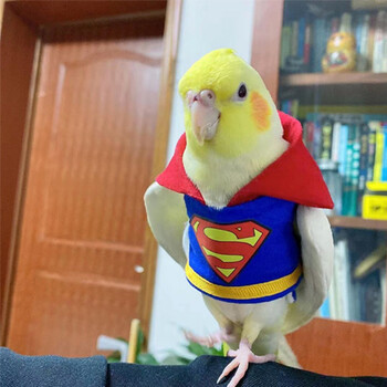 鸟用人飞行衣服玄凤小太阳中小型鹦鹉放飞遛鸟小服装人飞行服玄凤