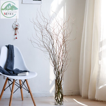 睿格达龙柳鲜切枝周期长鲜花家用水养高格调瓶插花可发芽龙柳一扎810