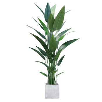 仿真植物美人蕉北欧风绿植大型盆栽摆件客厅室内落地装饰假树造景160