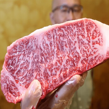 内蒙古国产牛肉雪花牛肉五斤装原切冷冻m5和牛呼伦贝尔生鲜橙伯乐2500