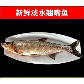 新鮮冷凍翹嘴白白魚翹嘴魚翹殼刁子魚大白刁淡水魚750克一條原味