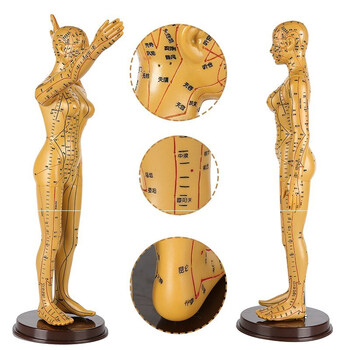 针灸铜人铜色经络针灸铜人人体穴位模型中医针灸人模铜像摆件展示针灸