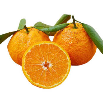 精选国产椪柑柑橘橘子新鲜生鲜水果3斤装