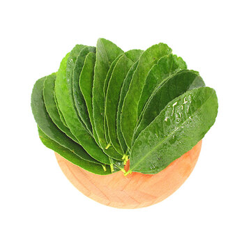 悠妃柠檬叶 青柠叶西餐香料料理腌制烹饪调料 冬阴功汤原料 1000克