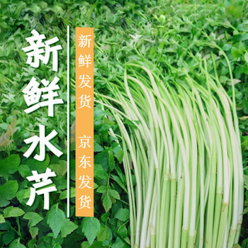 新鲜野生水芹菜野蔬菜野菜河芹农家自种时令蔬菜1500g 图片价格品牌报价 京东