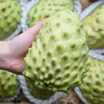 海南牛奶释迦果新鲜水果 释迦果 番荔枝 2/4大果礼盒装 4个普通装