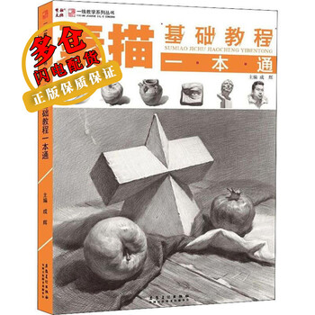 素描基础教程一本通成辉编绘画理论wx