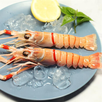 渔肴记进口新西兰海鳌虾深海斯干比scampi鳌虾刺身特大新鲜鲜活1000g