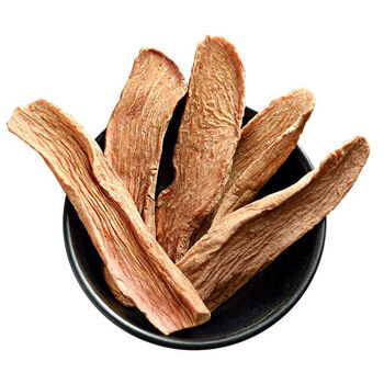 阿拉善野生肉苁蓉鲜干片金锁阳泡茶泡酒中药材大芸男性锁阳片1000克