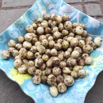 四川本地小蒜苦芥生苦茭團蔥苦藠小根蒜苦蒜苦叫薤白新鮮團蔥小號兩斤