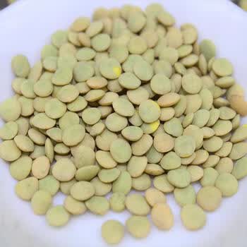 速缘乐土耳其红小扁豆新货红扁豆番茄红五谷粗粮1斤小扁豆2斤