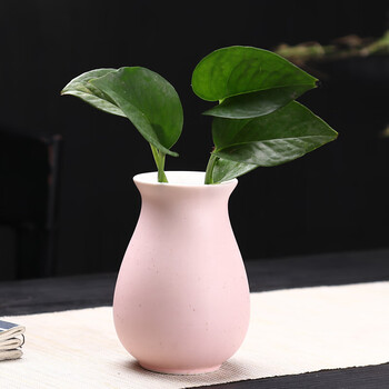 创意绿萝容器水养植物花盆鲜花插花器桌面装饰摆件水培花瓶玉春马卡龙