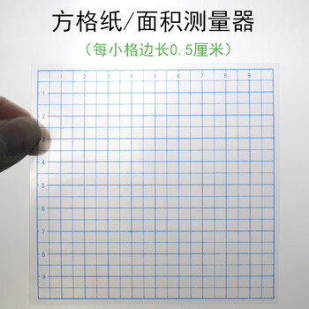 面积测量器方格纸0.5cm/1cm100个小方格平方厘米分米小学数学教具学具10*10c 透明方格片/小格0.5cm/5张【图片 价格 品牌 ...
