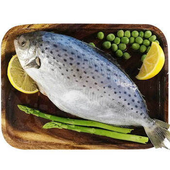 特大号新鲜雪花鲳鱼南极鲳鱼鲜活冷冻5斤约34条斤新货大号