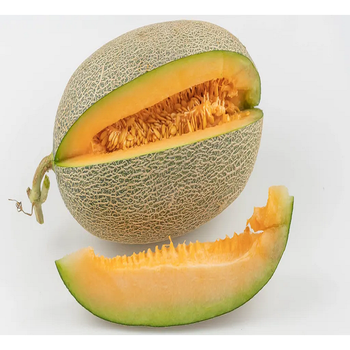 蜜鲜湾 水果新鲜哈密瓜当季 甜脆香网纹瓜西州蜜瓜 带箱2-3 斤试吃