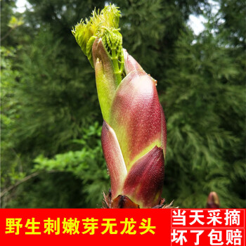 贵州野菜名称图片