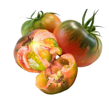 铁皮柿子番茄西红柿东北碱地特产柿子精选8斤中果净重