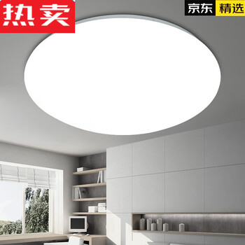 德国进口品质吸顶灯led圆形灯具暖白中性光色温4000K色温6500K客厅卧室房间灯 全白款LED色温6500K96W直径80cm 白光【图片 ...