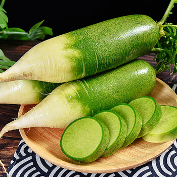 桃都豪滢	(taoduhaoying)水果萝卜生吃 山东潍坊沙窝萝卜脆萝卜水果