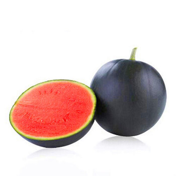 黑皮无籽西瓜王子黑皮红瓤沙瓤超甜多汁抗病耐湿易坐果水果种籽黑皮红