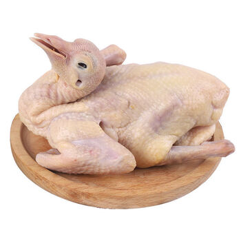 鸽子生鲜鸽子肉 新鲜乳鸽农家散养现杀现发 乳鸽8两5只