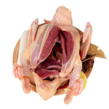 棠鲜生鸽子肉新鲜现杀鸽子家养土鸽乳鸽老鸽子煲汤肉鸽 去头去爪 方便