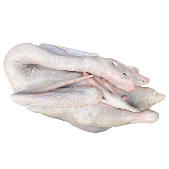 潮汕狮头鹅马岗鹅卤水鹅烧鹅肉整只活杀冷冻散养老鹅10斤