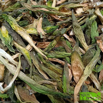 格沃斯(gewosi)云南怒江竹叶菜高黎贡山雪山野菜新鲜干竹叶青 500g