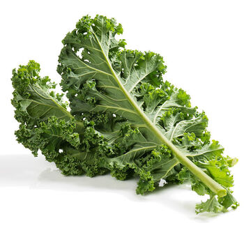 新鲜羽衣甘蓝榨汁蔬菜绿叶沙拉菜半斤1斤2斤一斤500g