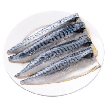 新鲜鲅鱼片真空袋腌制450g冷冻青鱼去骨鲭鱼肉锦蜜姬青花鱼450g2袋