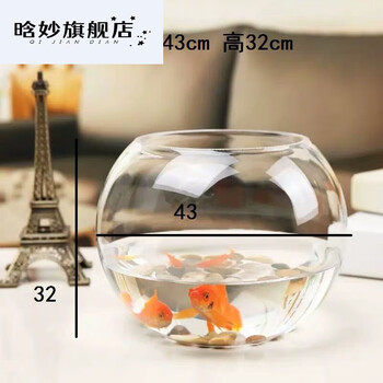 50cm特大号圆形玻璃鱼缸超大圆球形圆鱼缸圆型桌面大号鱼缸玻璃缸yiu